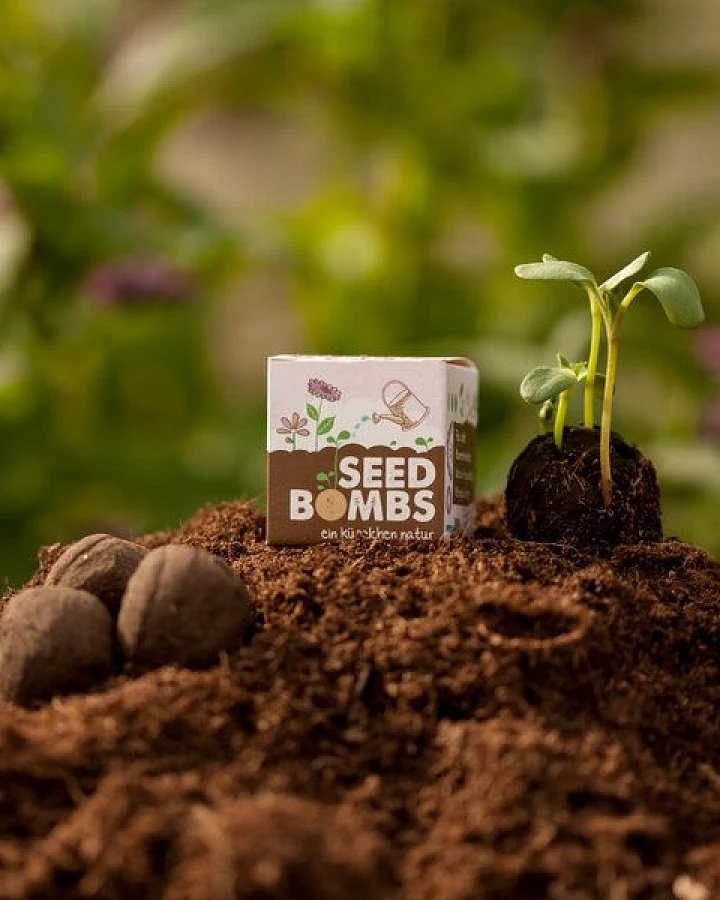 Die Stadtgärtner Seedbomb "Wildblumen" I Handgemachte Samenbombe mit Blumensamen
