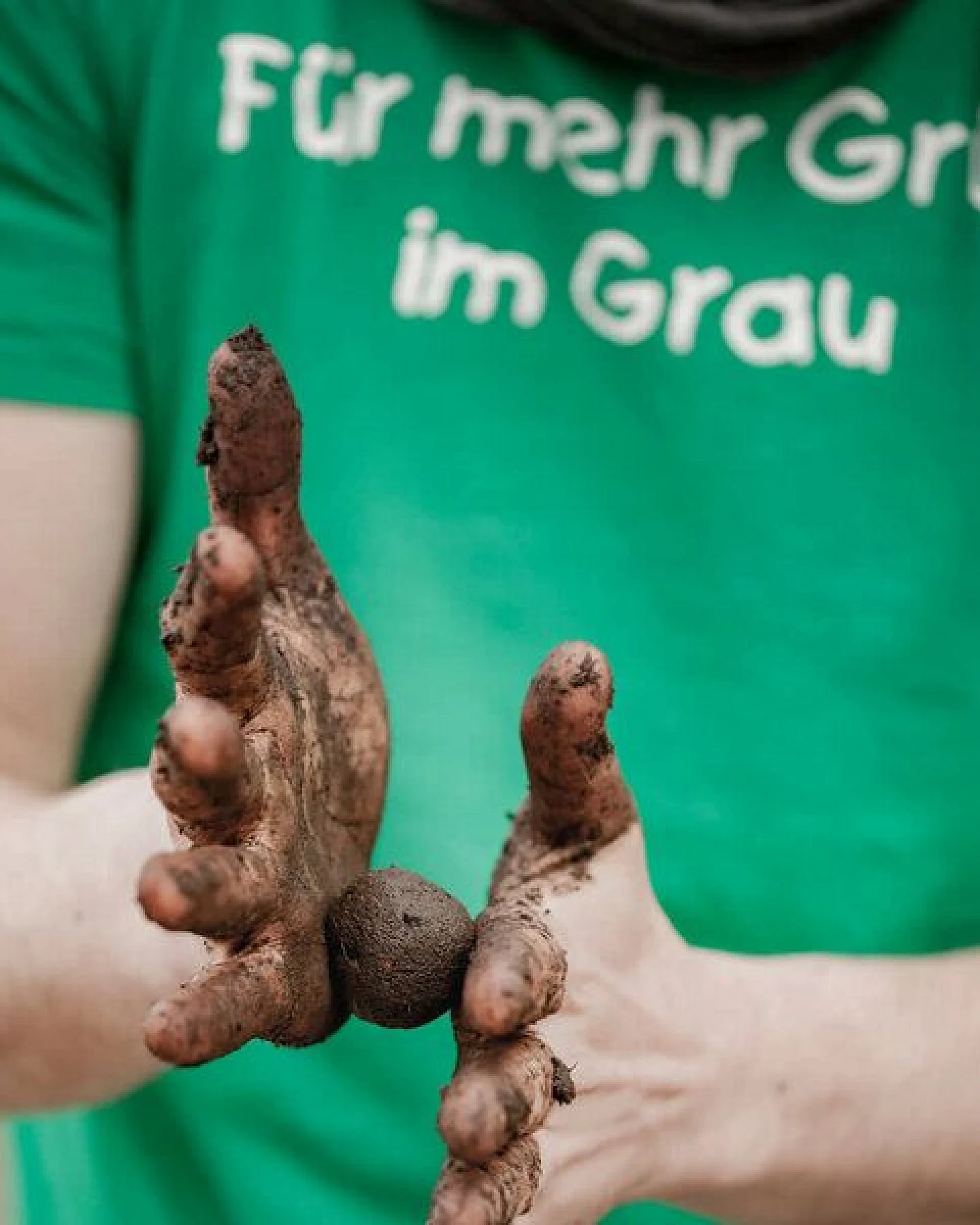 Die Stadtgärtner Seedbomb "Wildblumen" I Handgemachte Samenbombe mit Blumensamen – Ansicht 2