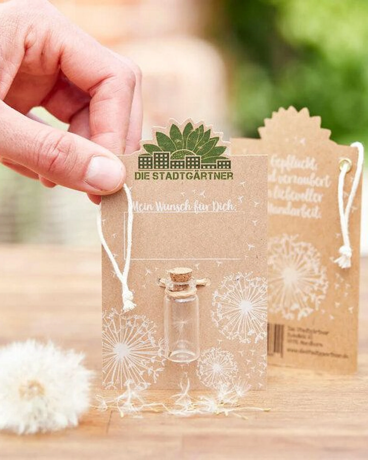 Die Stadtgärtner Kleiner Wunscherfüller I Echtes Pusteblumen-Schirmchen im Glas – Ansicht 3