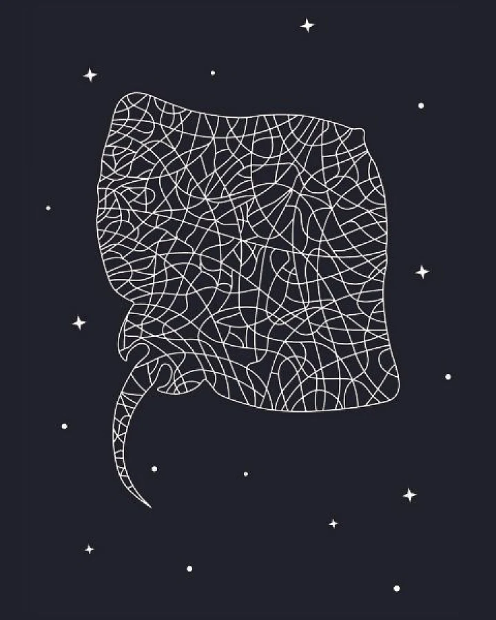 vis wear Rochen Poster