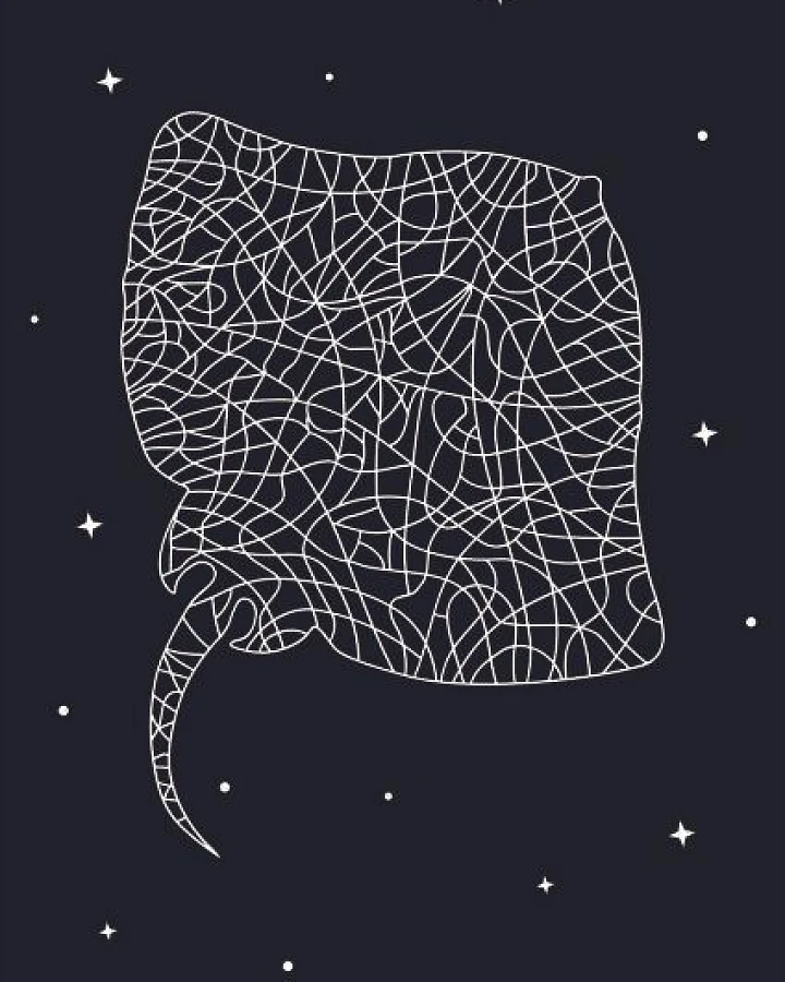 vis wear Rochen Poster
