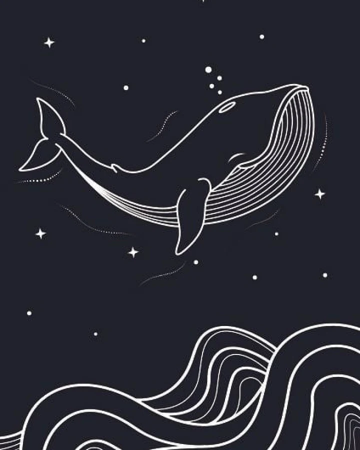 vis wear Wal Poster
