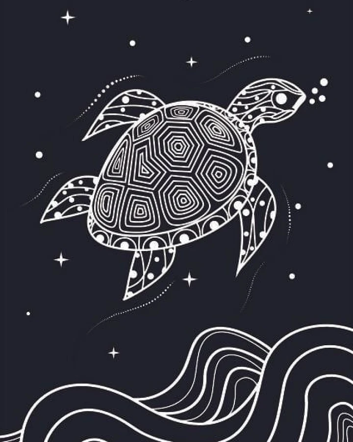vis wear Turtle Poster