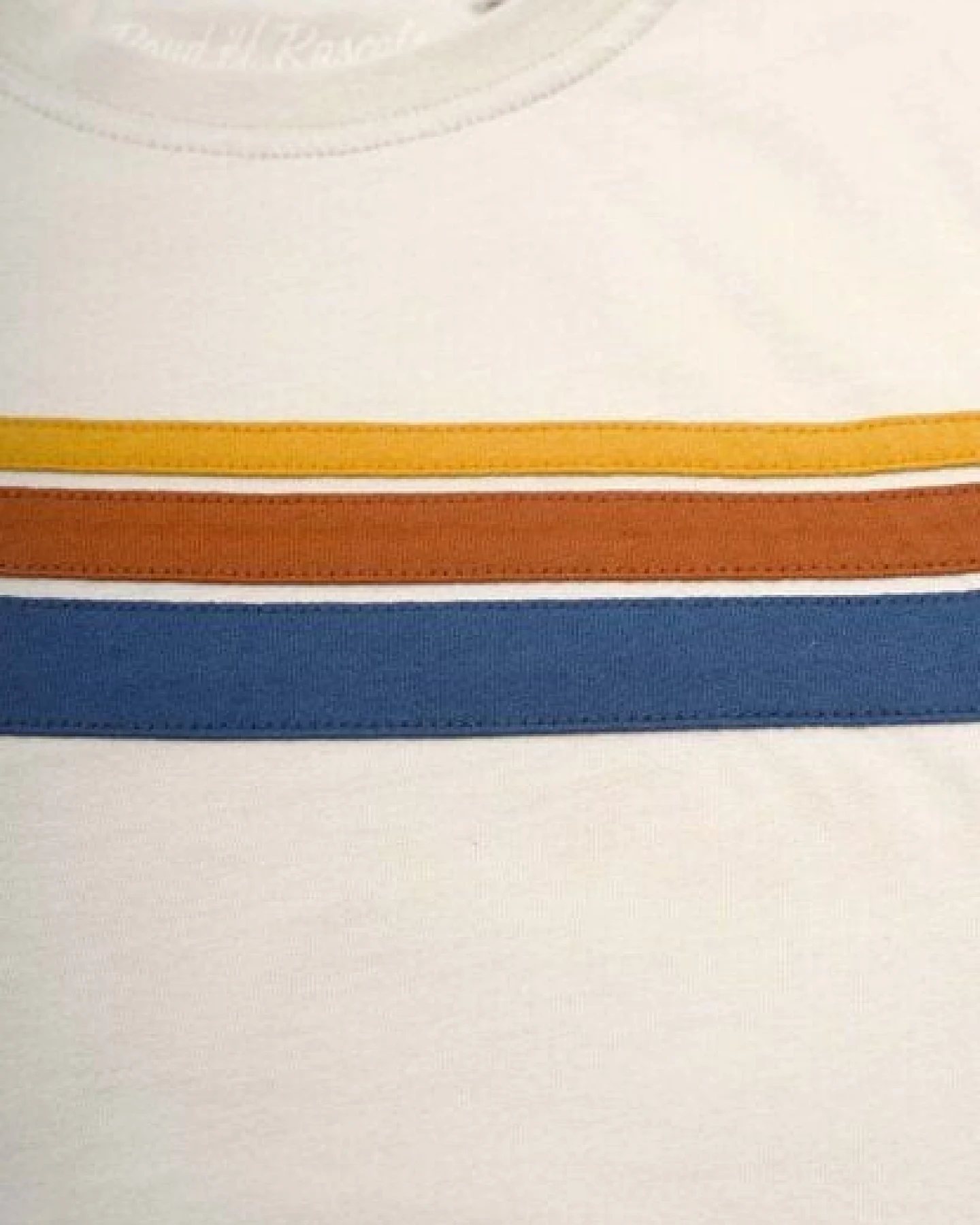 Band of Rascals 70th Stripes T-Shirt – Ansicht 4