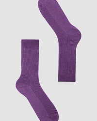 Lilac (Rosa)