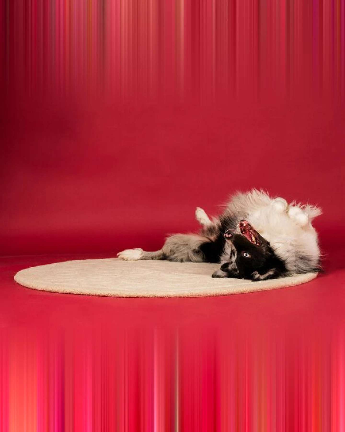 Living Design Teppich Blume des Lebens – Ansicht 2
