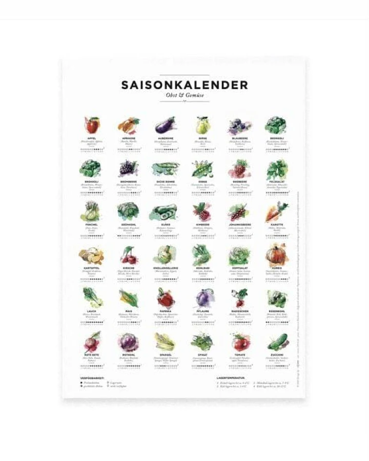 531 Rheinland Design Saisonkalender Obst & Gemüse, Format A4, Poster mit 36 Obst- & Gemüsesorten