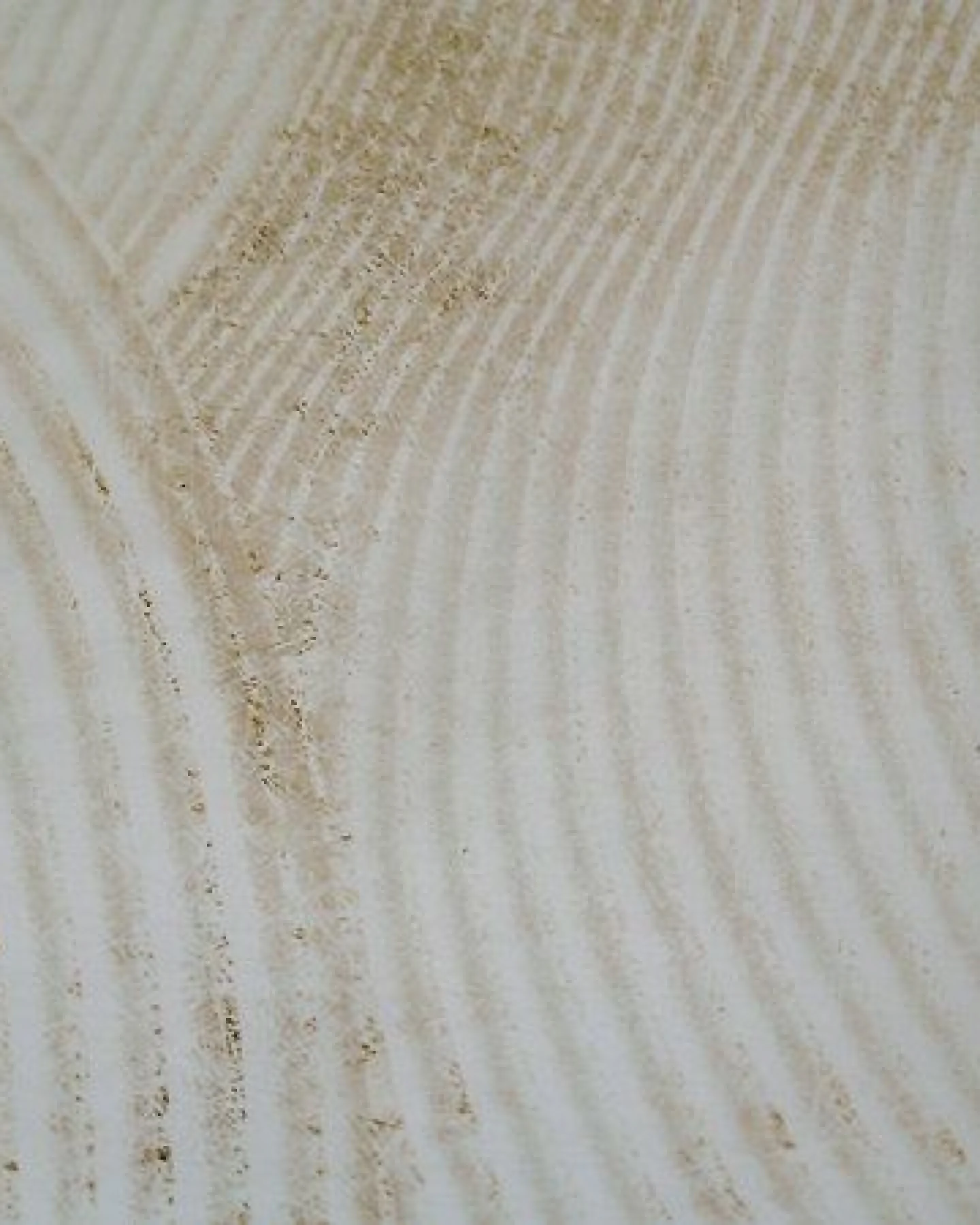 Kayori Sakae - Bettwäsche - 100% Bio Baumwolle – Ansicht 3