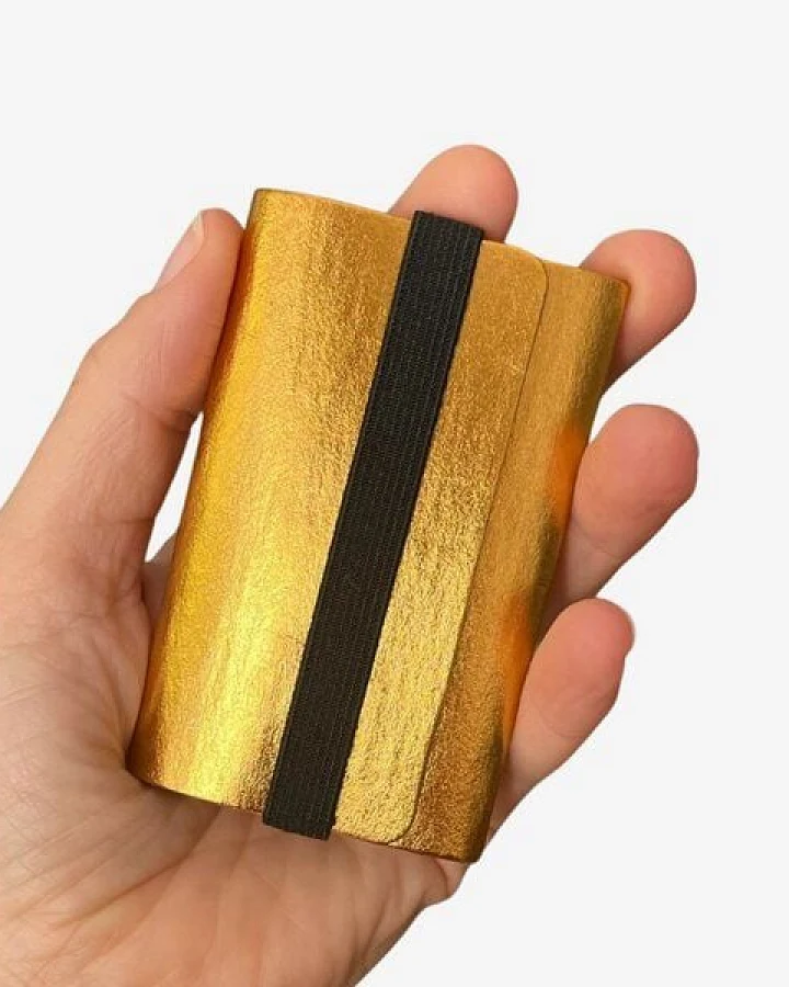 ANDERS & KOMISCH Kartenetui mit Münzfach - Reise Geldbeutel - A&K TINY Gold