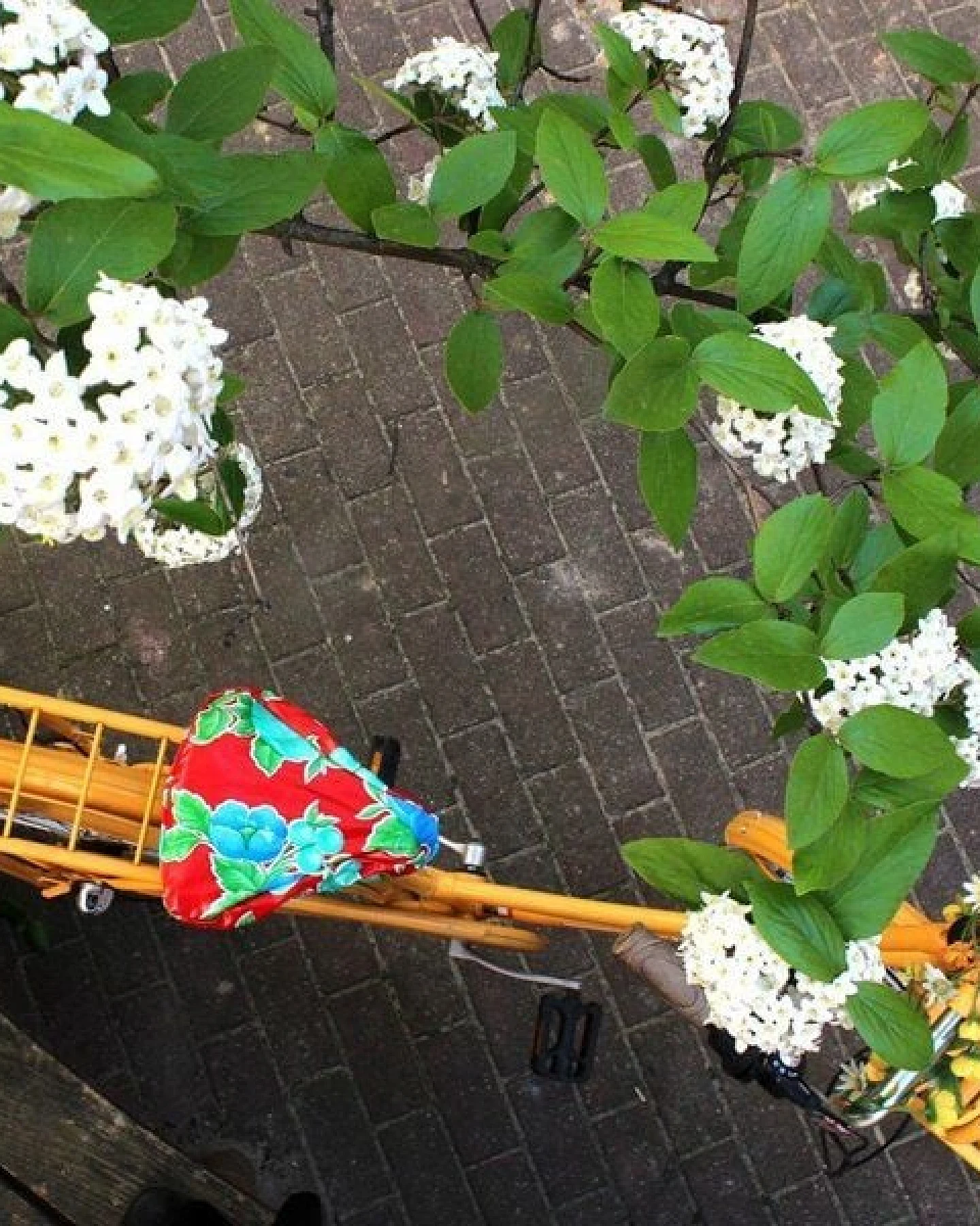 Mitienda Shop Sattelbezug aus wasserabweisender Plane, verschiedene Modelle – Ansicht 2