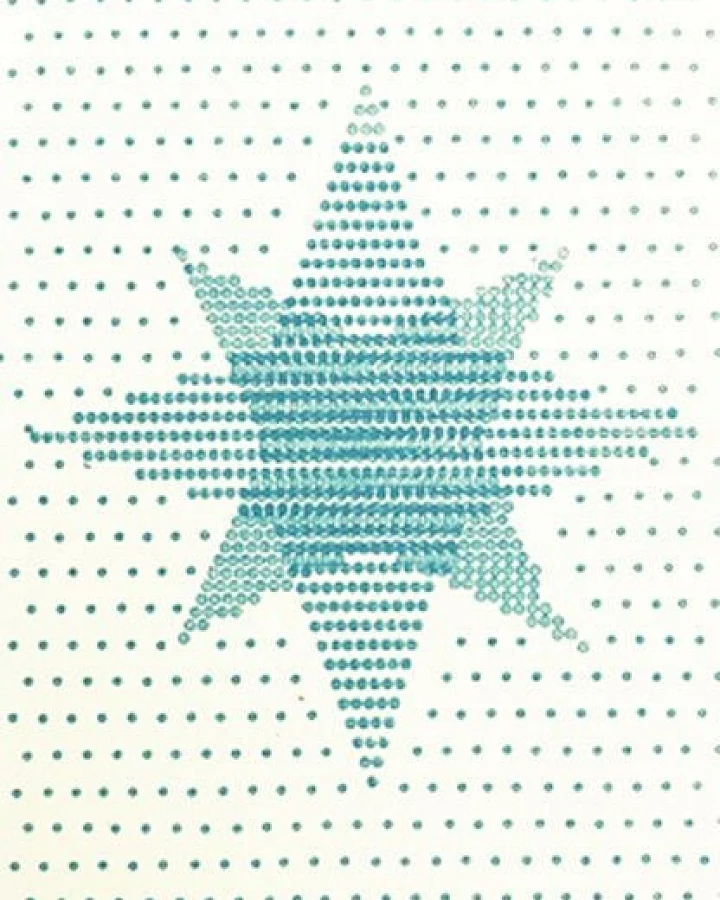 Salon Elfi Weihnachtskarte Stern