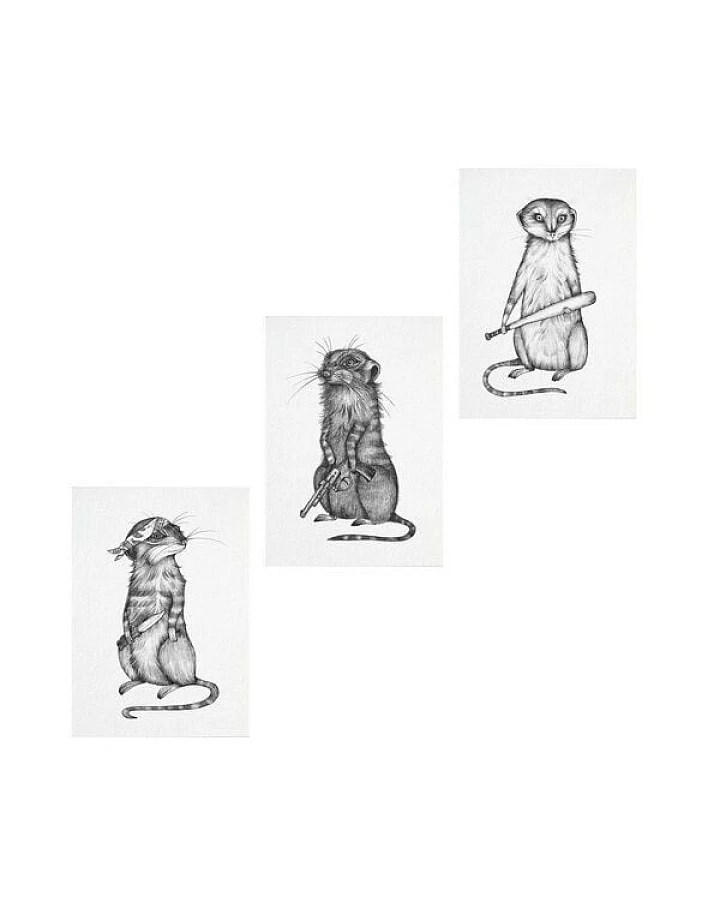 Postkarten 3er-Set »Gefährliche Tiere« von LIGARTI