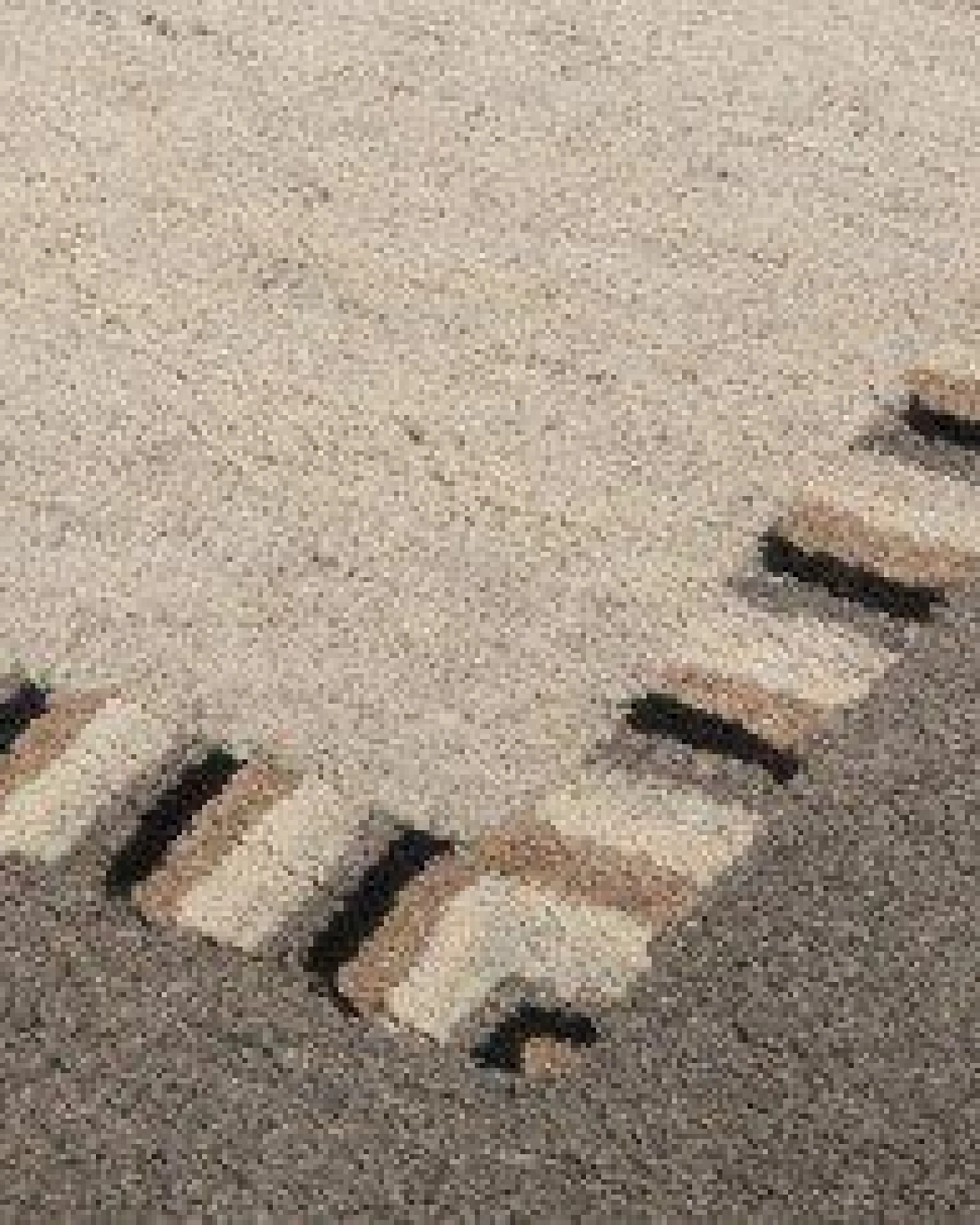 Prolana Handgefertigter Flor-Teppich Tuft "Tape" aus Wolle in Beige - versch. Größen – Ansicht 3