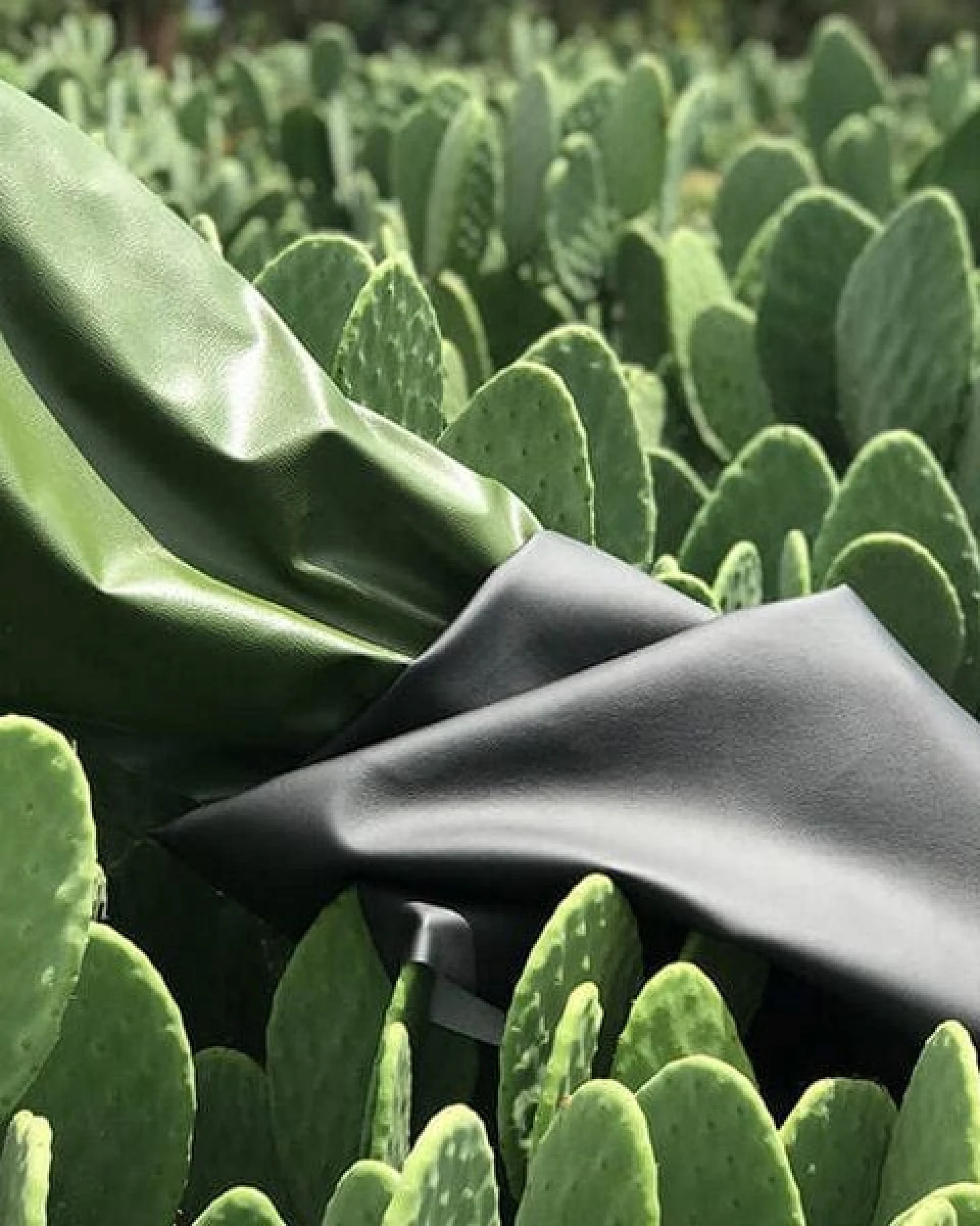 Pololo Vegane Sommersandale "Ibiza" aus einer Kaktus-Lederalternative, unisex, Gr. 20-34 – Ansicht 3