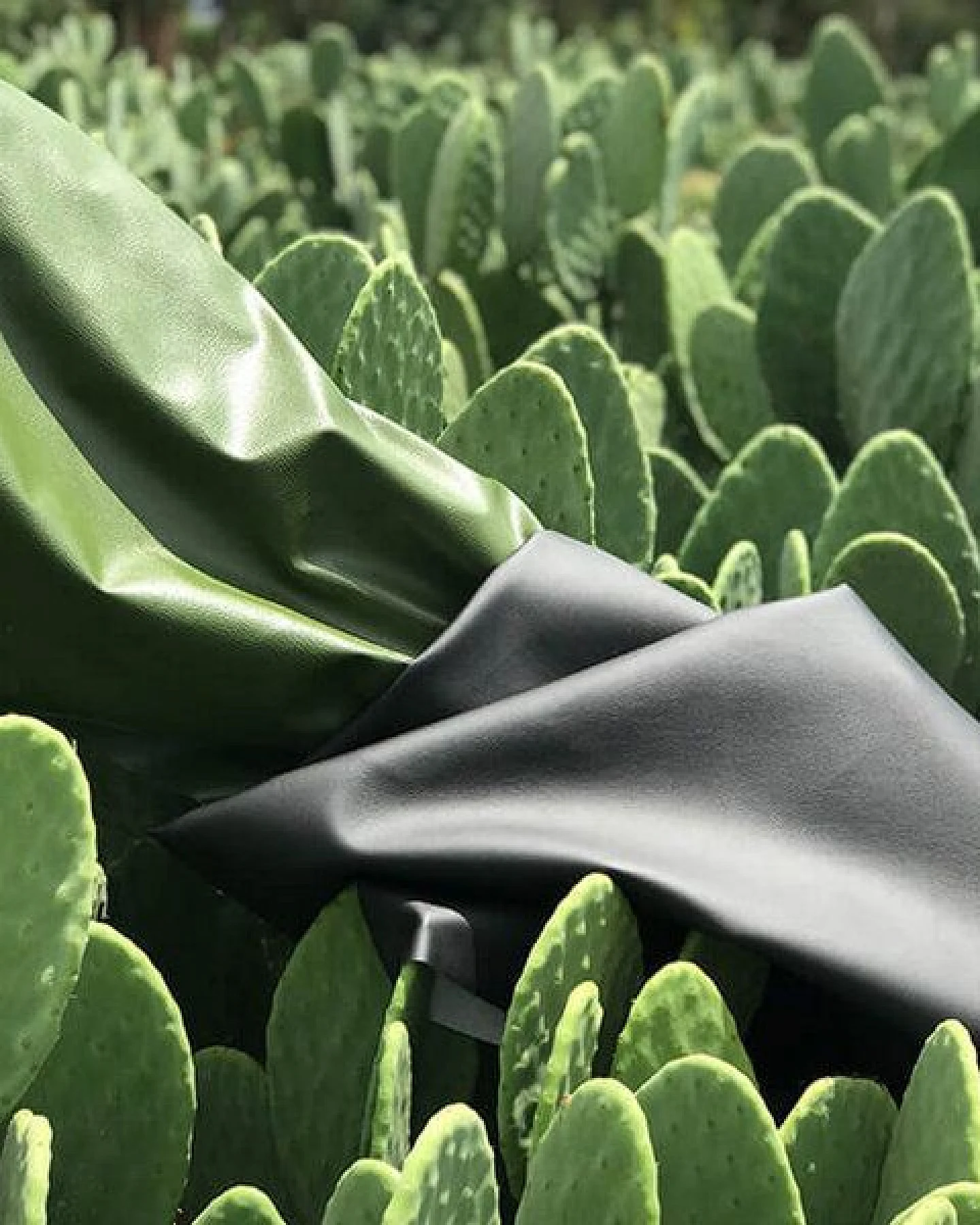 Pololo Vegane Sommersandale "Ibiza" aus einer Kaktus-Lederalternative, unisex, Gr. 20-34 – Ansicht 3