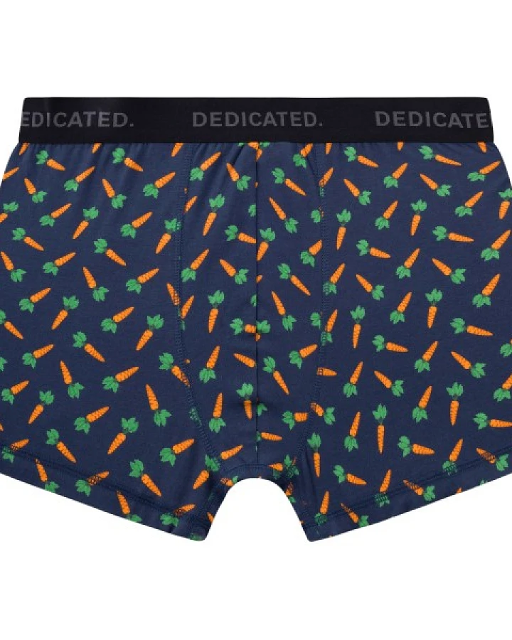DEDICATED - Boxer Briefs Kalix Carrots - Alltagsunterwäsche Gr S blau