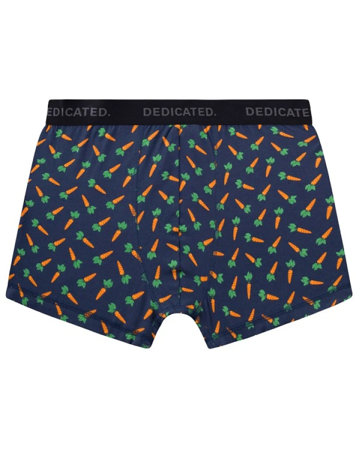 DEDICATED - Boxer Briefs Kalix Carrots - Alltagsunterwäsche Gr M blau