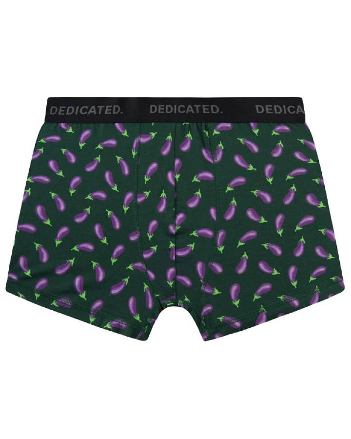 DEDICATED - Boxer Briefs Kalix Egg Plant - Alltagsunterwäsche Gr S grün