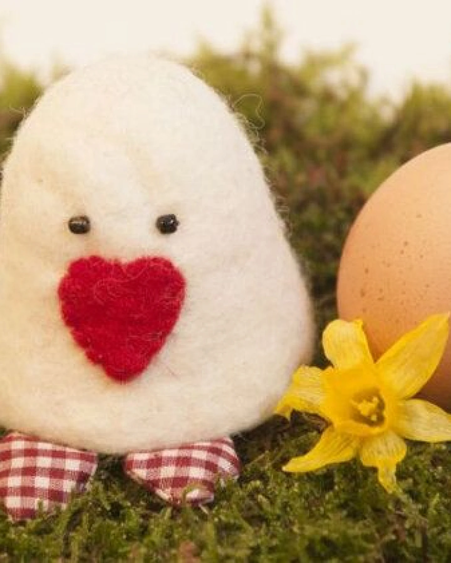 short'n'pietz Küken als Filz Eierwärmer – Ansicht 2