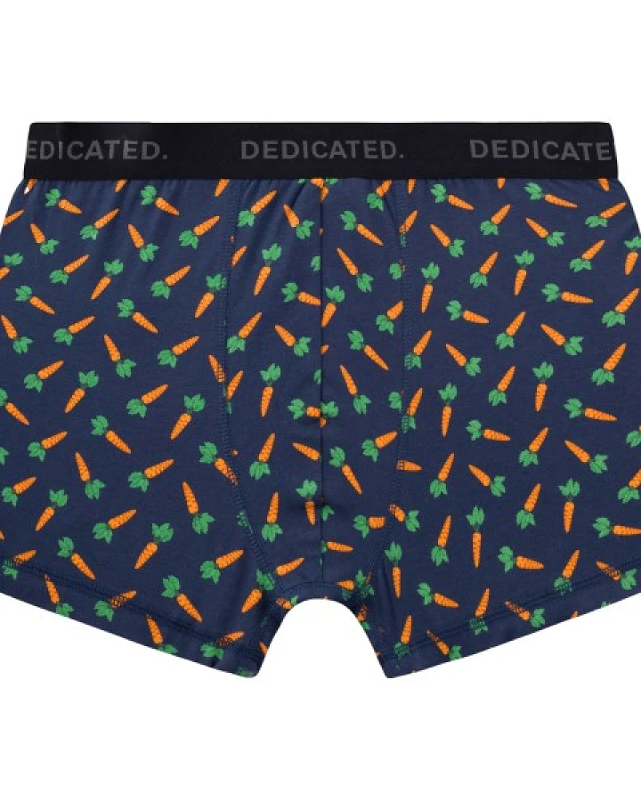DEDICATED - Boxer Briefs Kalix 3-Pack - Alltagsunterwäsche Gr S blau