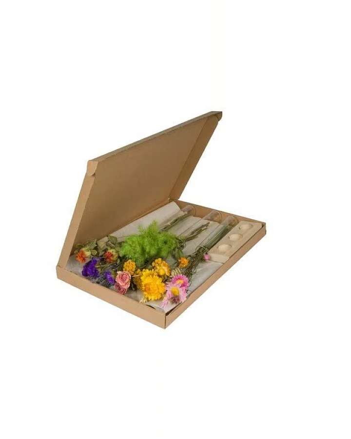 Floriette Trockenblumen mit Vasen im Briefpaket