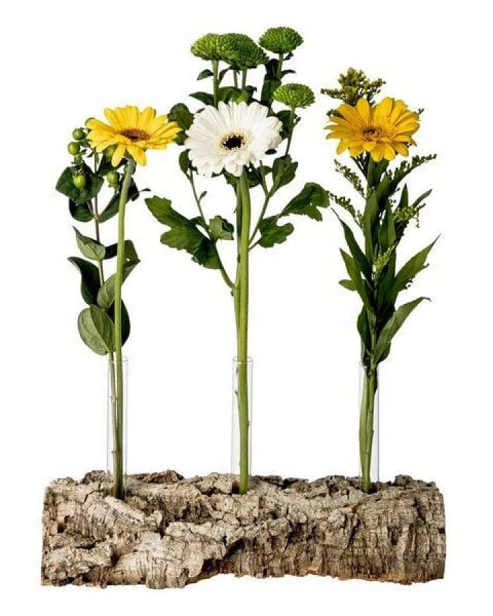 Kork-Deko Korkrinde als Blumen-Vase mit 3 Reagenzgläsern