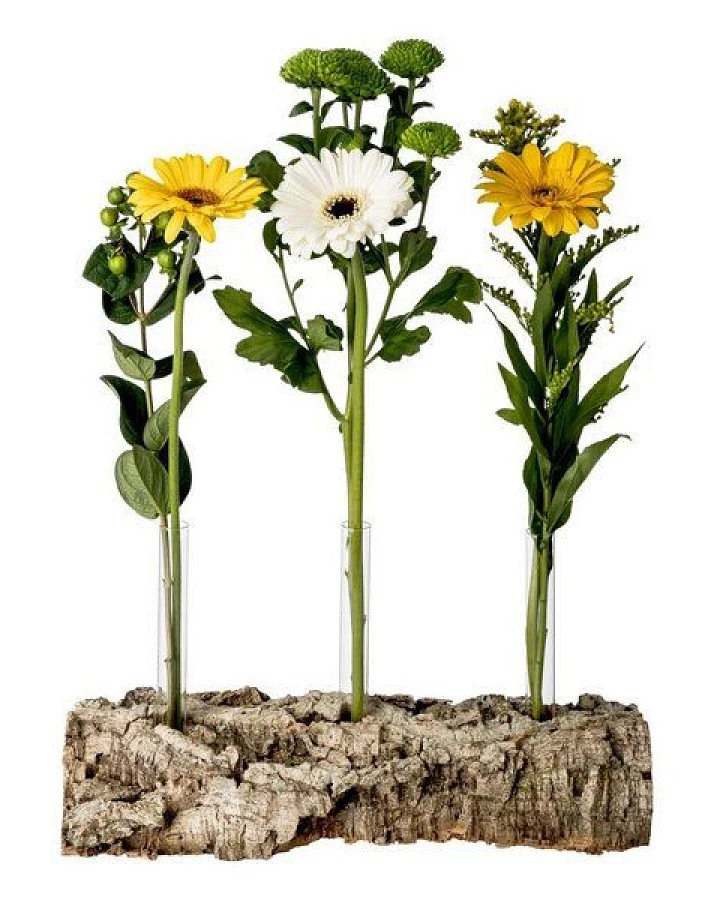 Kork-Deko Korkrinde als Blumen-Vase mit 3 Reagenzgläsern