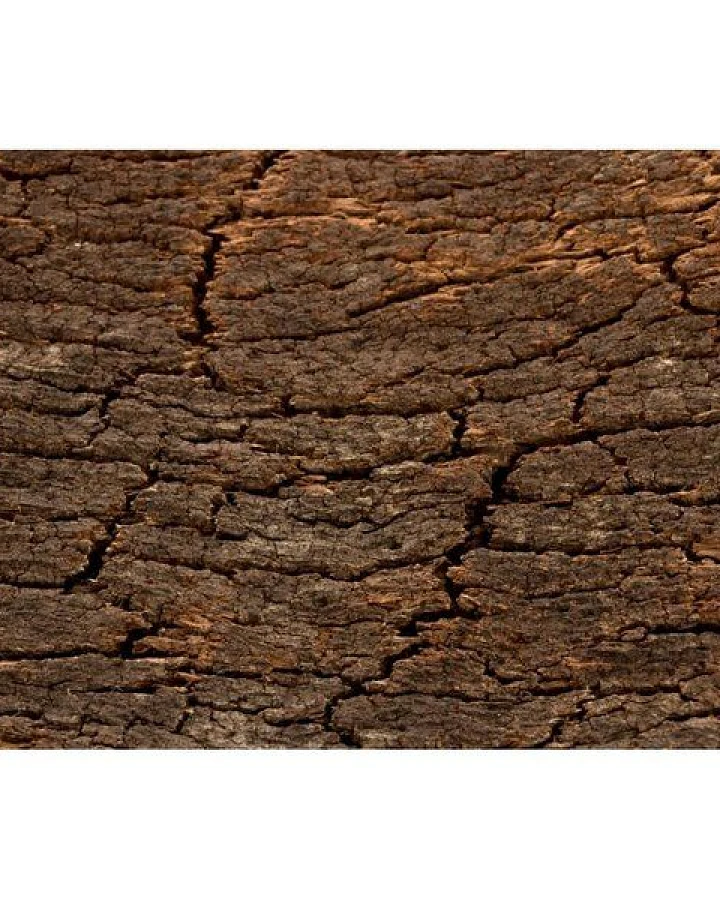 Kork-Deko 227,50 EUR/qm Korkrückwand aus einem Stück Kork-Rinde 60x30 cm
