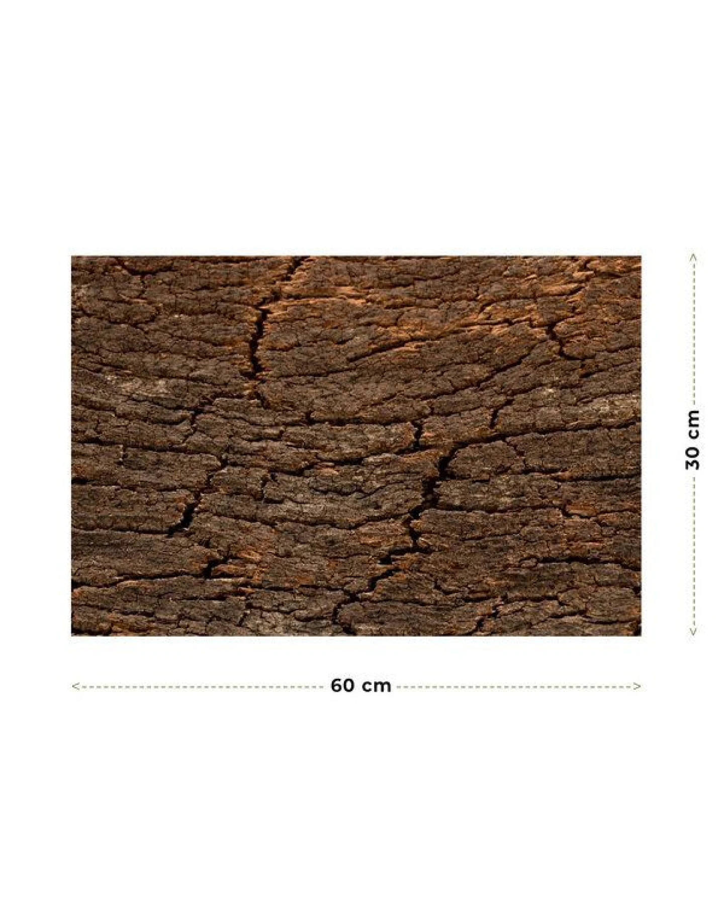 Kork-Deko 227,50 EUR/qm Korkrückwand aus einem Stück Kork-Rinde 60x30 cm – Ansicht 2