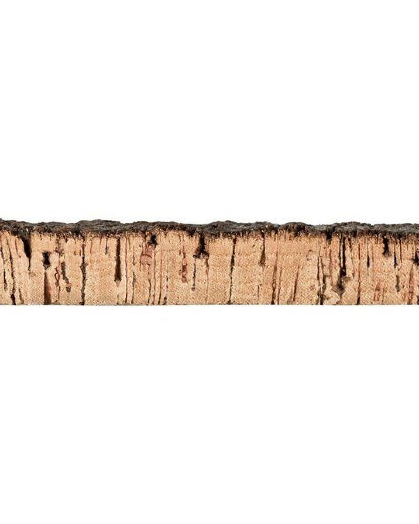 Kork-Deko 227,50 EUR/qm Korkrückwand aus einem Stück Kork-Rinde 60x30 cm – Ansicht 3