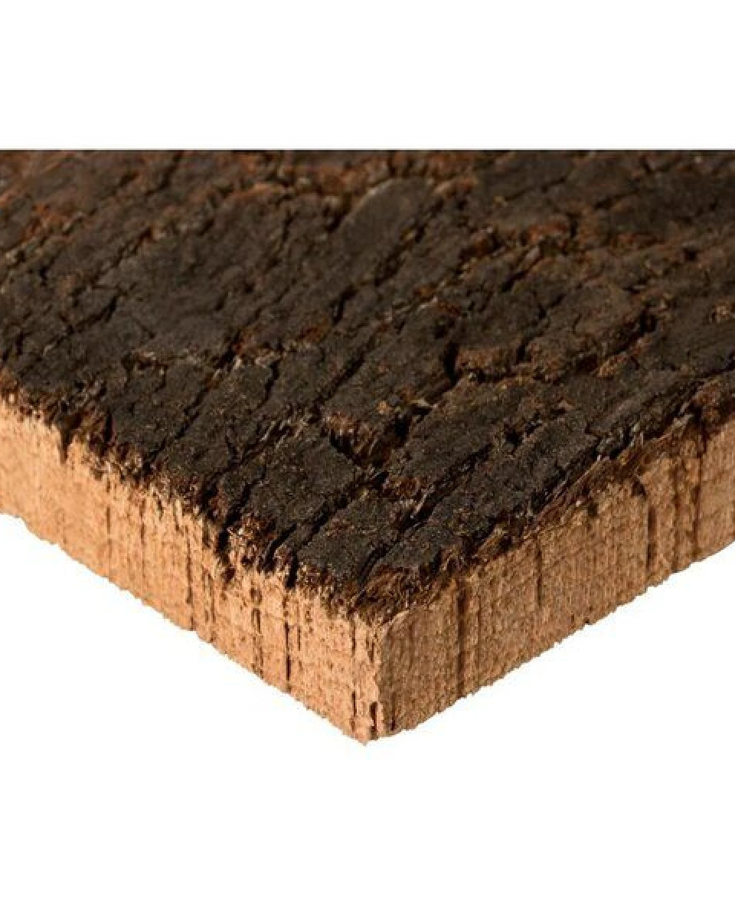Kork-Deko 227,50 EUR/qm Korkrückwand aus einem Stück Kork-Rinde 60x30 cm – Ansicht 4