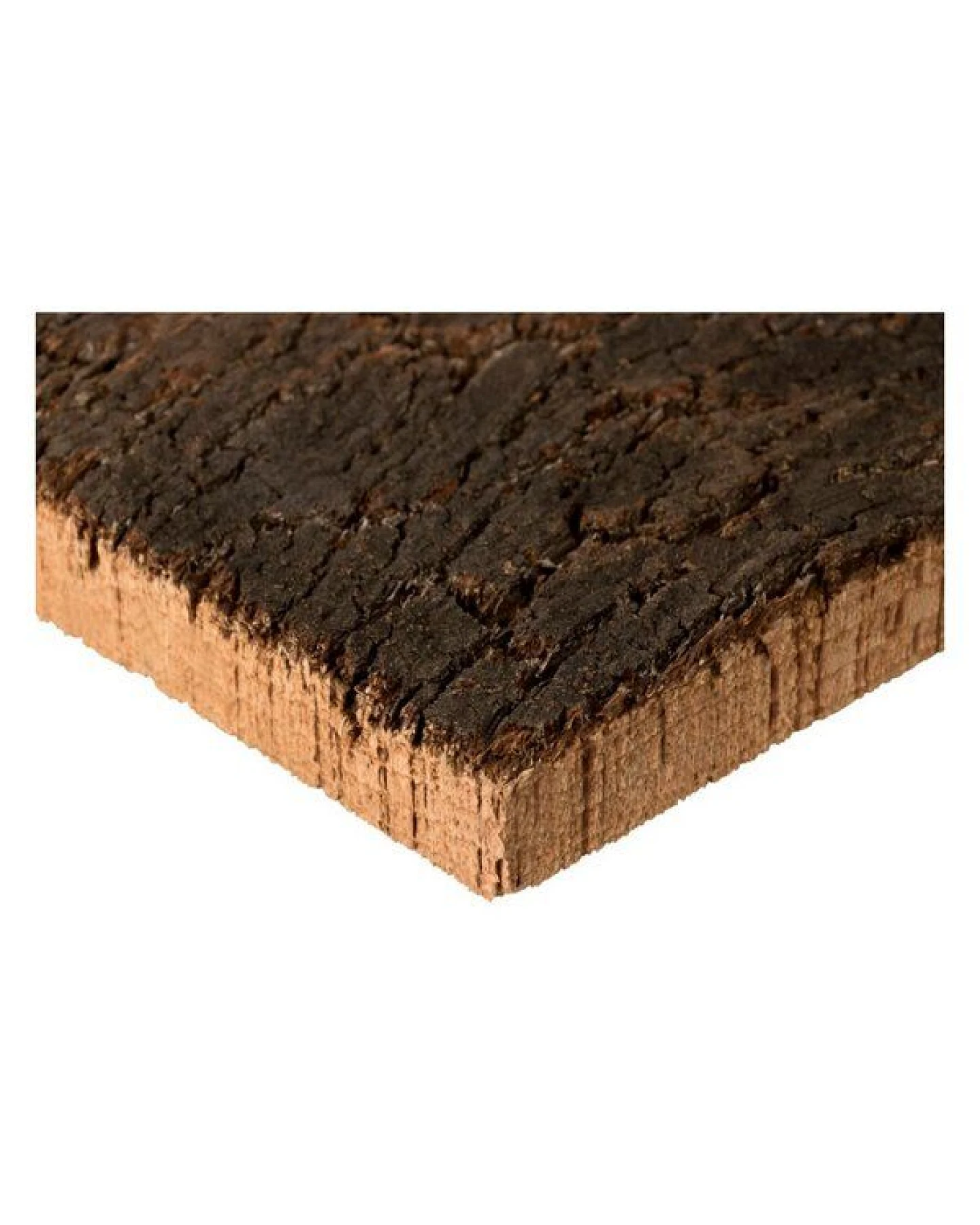 Kork-Deko 227,50 EUR/qm Korkrückwand aus einem Stück Kork-Rinde 60x30 cm – Ansicht 3