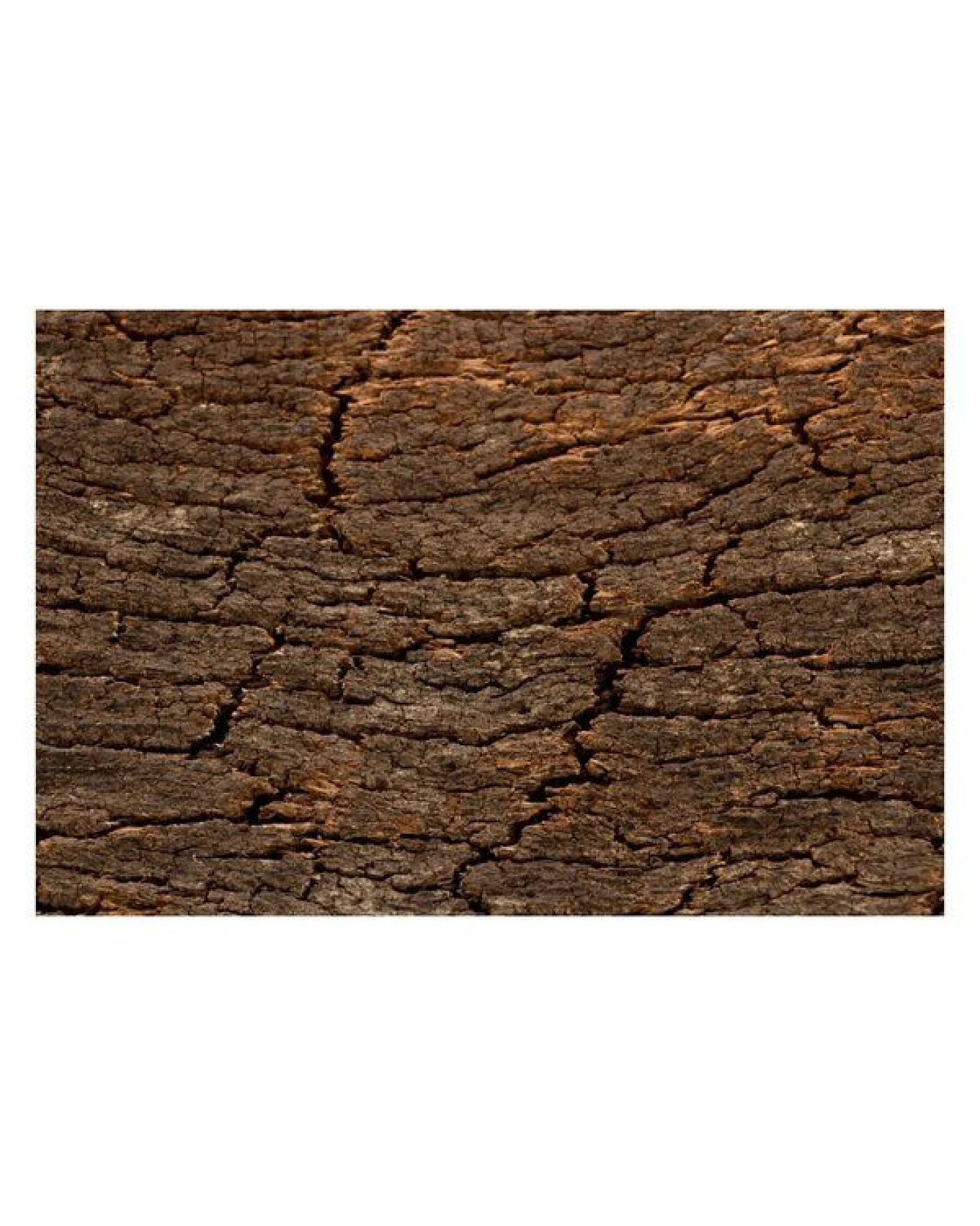 Kork-Deko 227,50 EUR/qm Korkrückwand aus einem Stück Kork-Rinde 60x30 cm – Ansicht 4