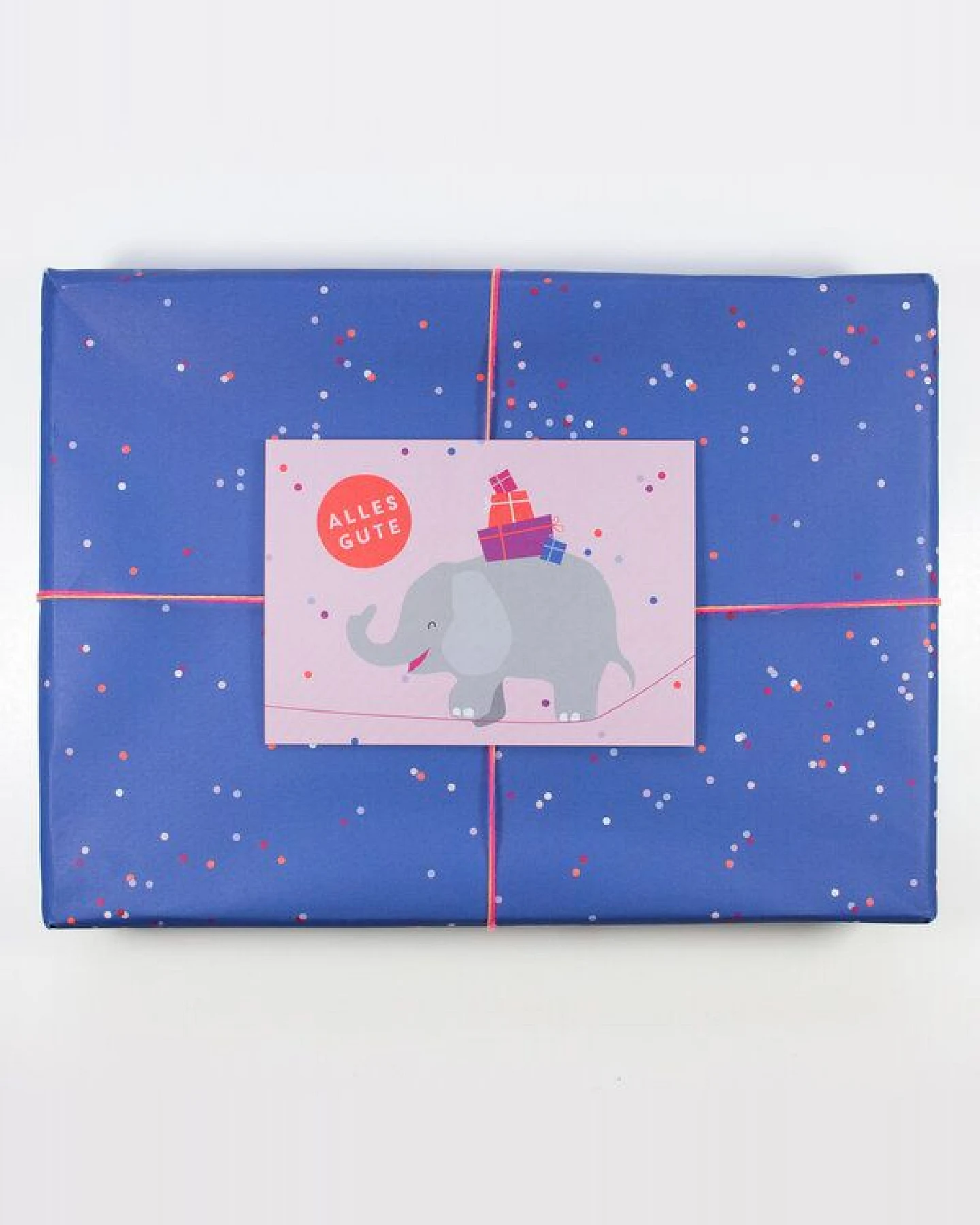 Bow & Hummingbird Postkarte Alles Gute (Elefant) – Ansicht 3