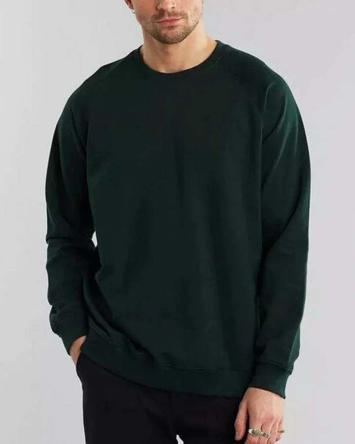 DEDICATED Sweatshirt Malmoe Base