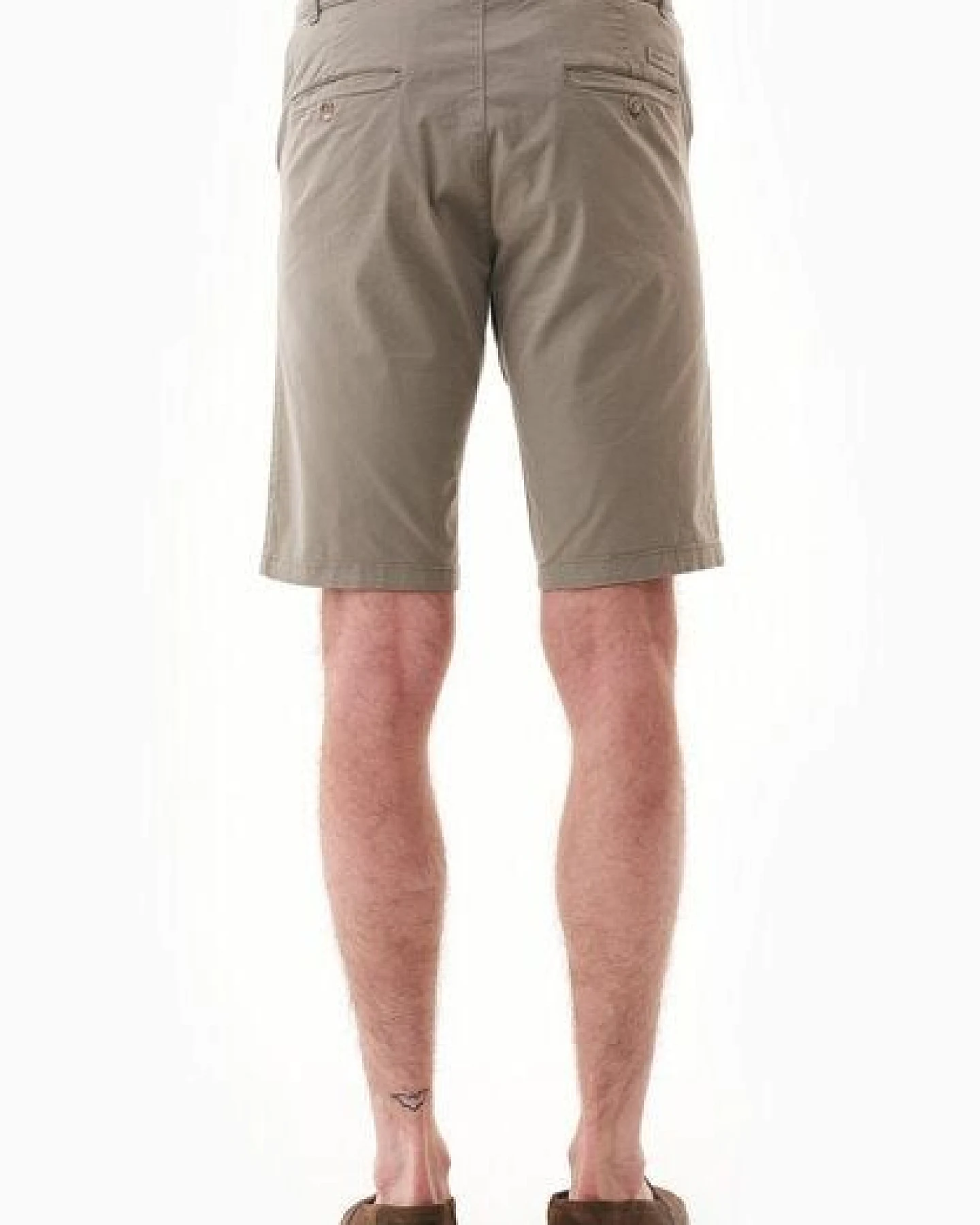 ORGANICATION Slim-Fit Chino-Shorts aus Bio-Baumwolle – Ansicht 4