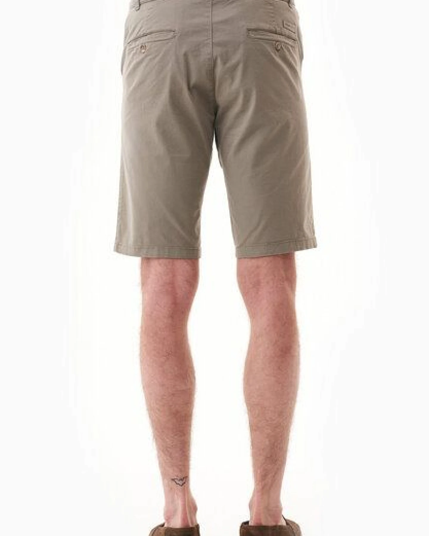 ORGANICATION Slim-Fit Chino-Shorts aus Bio-Baumwolle – Ansicht 4