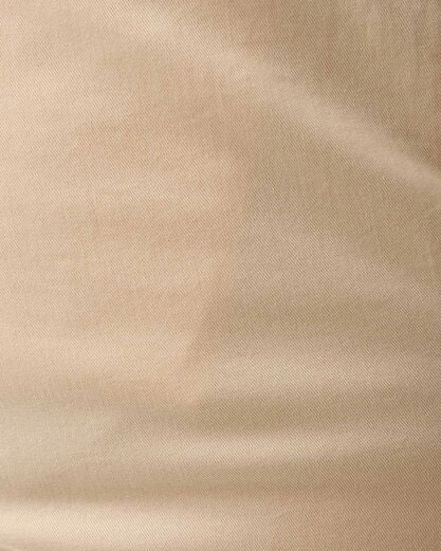 ORGANICATION Slim-Fit Chino-Shorts aus Bio-Baumwolle – Ansicht 4