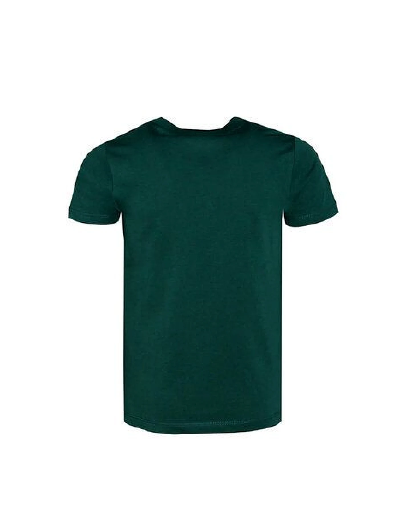 FÄDD Kinder T-Shirt Rundhals aus Bio-Baumwolle "Spino BT" Grün – Ansicht 3
