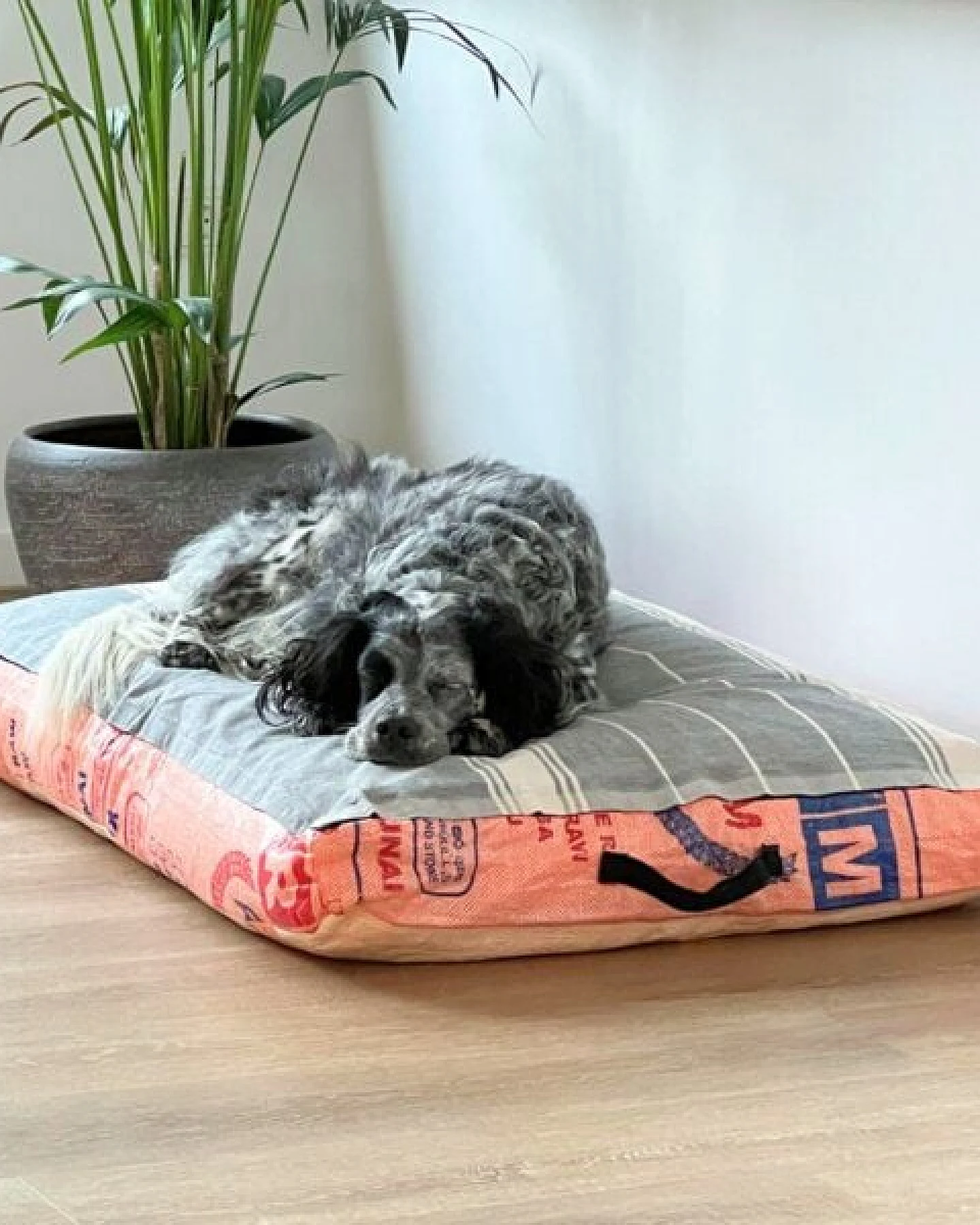 GOOPSI Hundebett mit BIO-Baumwollfüllung, Hundekissen - versch. Farben – Ansicht 4