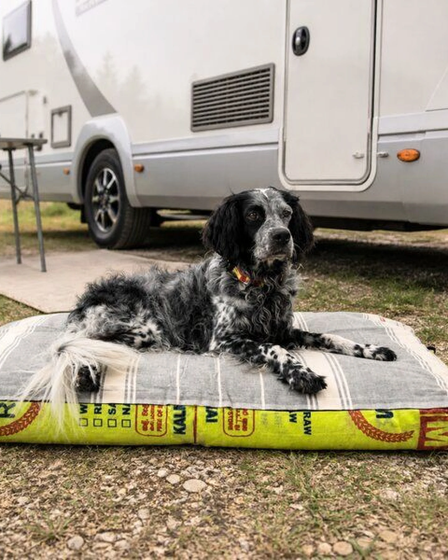 GOOPSI Upcycling Hundebett aus Reissack mit Baumwollfüllung, pflegeleicht & geruchsneutral, Hundekissen – Ansicht 2