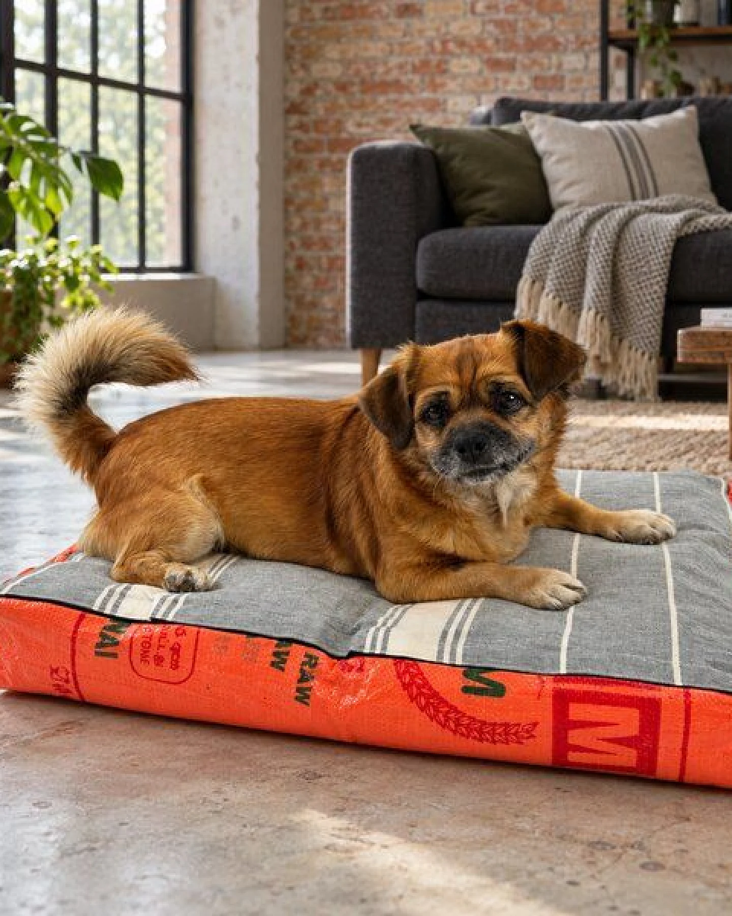 GOOPSI Upcycling Hundebett aus Reissack mit Baumwollfüllung, pflegeleicht & geruchsneutral, Hundekissen – Ansicht 2