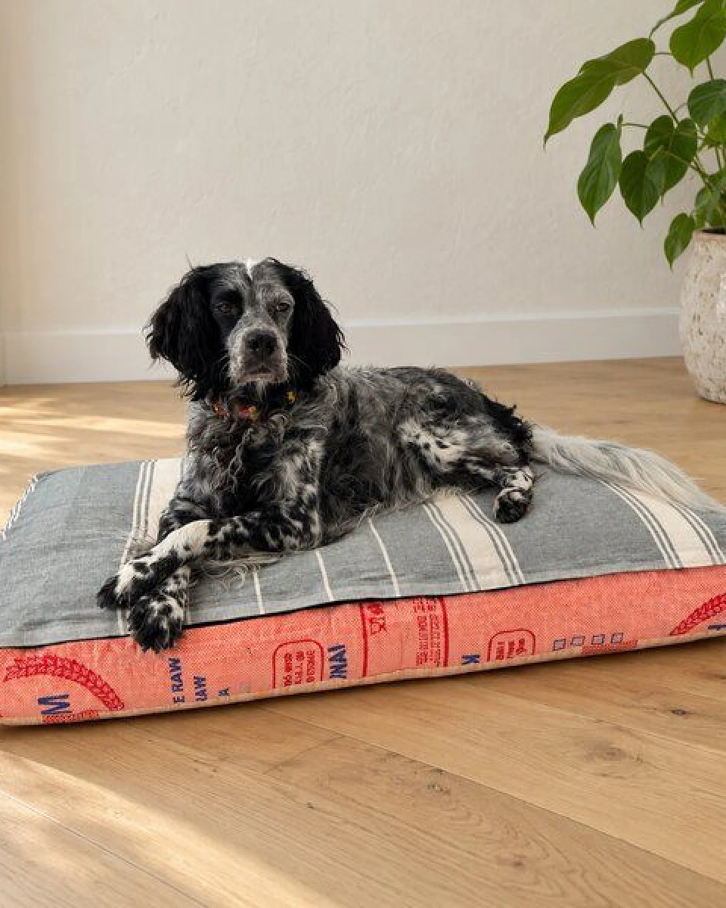 GOOPSI Upcycling Hundebett aus Reissack mit Baumwollfüllung, pflegeleicht & geruchsneutral, Hundekissen – Ansicht 2