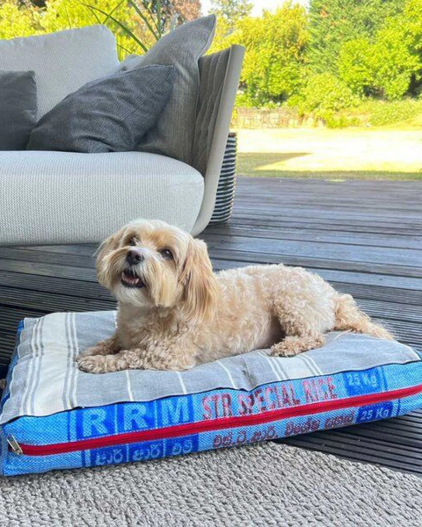 GOOPSI Upcycling Hundebett aus Reissack mit Dinkellfüllung, pflegeleicht & geruchsneutral, Hundekissen – Ansicht 2
