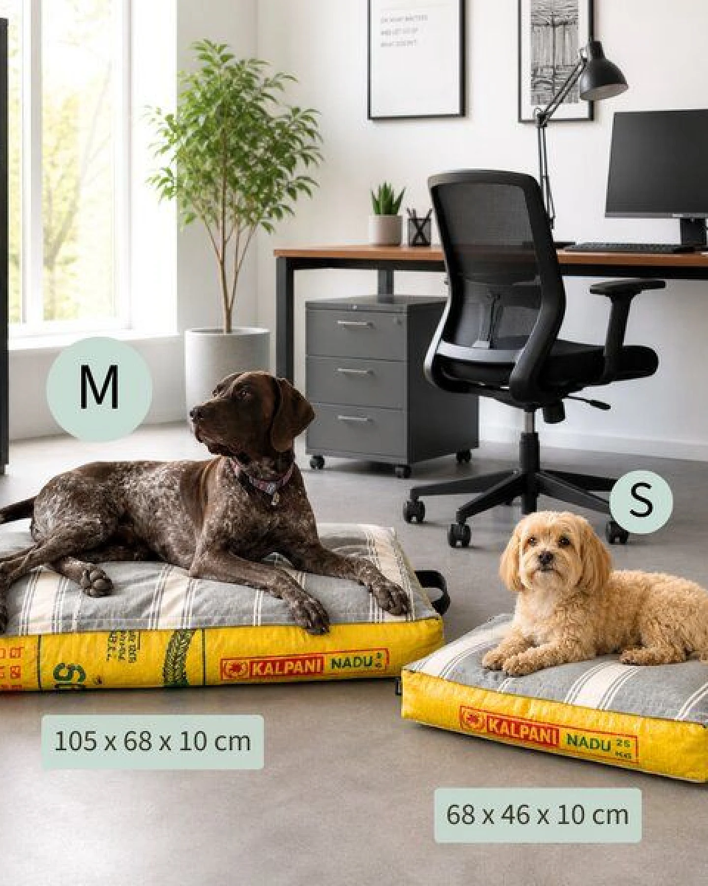 GOOPSI Upcycling Hundebett aus Reissack mit Dinkellfüllung, pflegeleicht & geruchsneutral, Hundekissen – Ansicht 4
