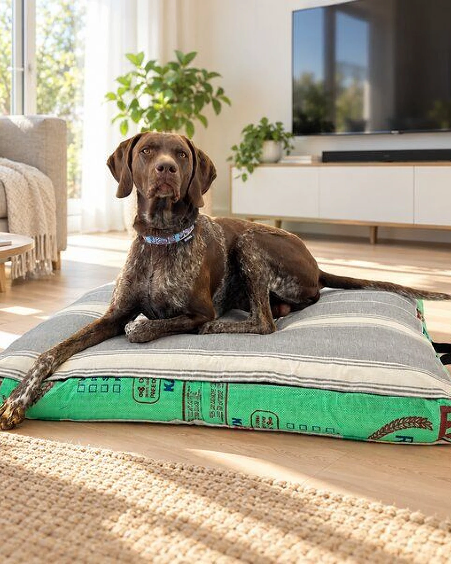 GOOPSI Upcycling Hundebett aus Reissack mit Dinkellfüllung, pflegeleicht & geruchsneutral, Hundekissen – Ansicht 2
