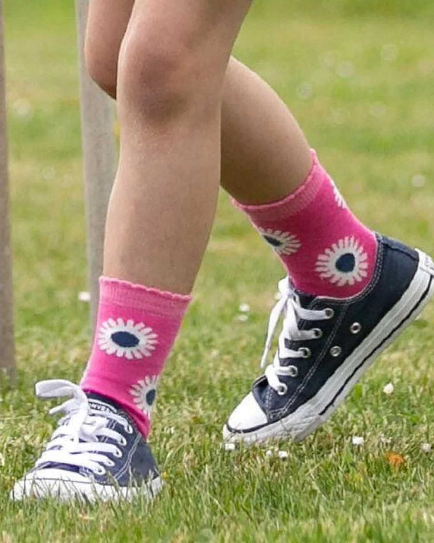 Kite Clothing Bunte Socken 3er-Pack aus Bio-Baumwolle – Ansicht 3