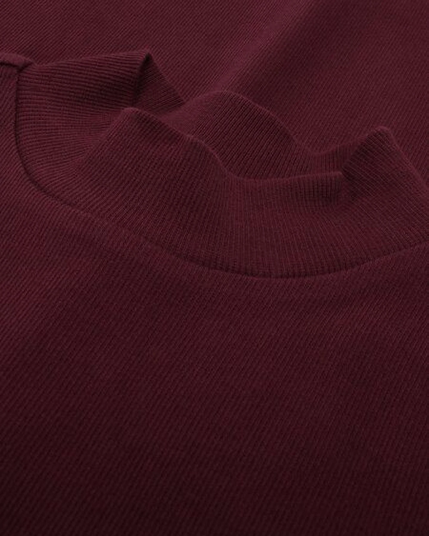 KnowledgeCotton Apparel Langarmshirt - Rib high neck long sleeved - aus Bio-Baumwolle – Ansicht 2