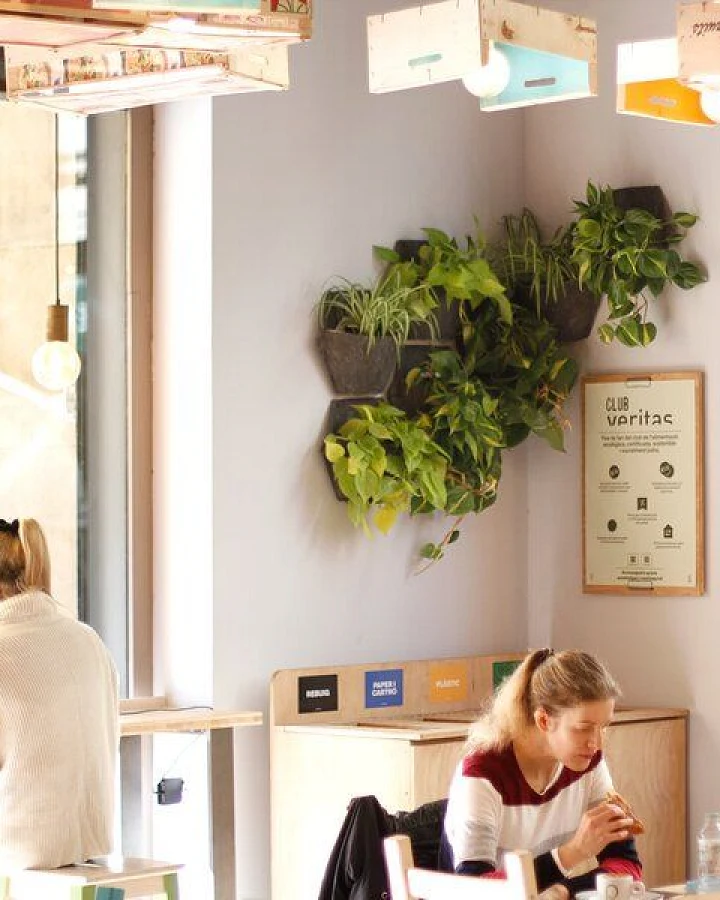 CitySens 6er-Pack Wand-Blumentopf mit Textilbezug und automatische Bewässerung