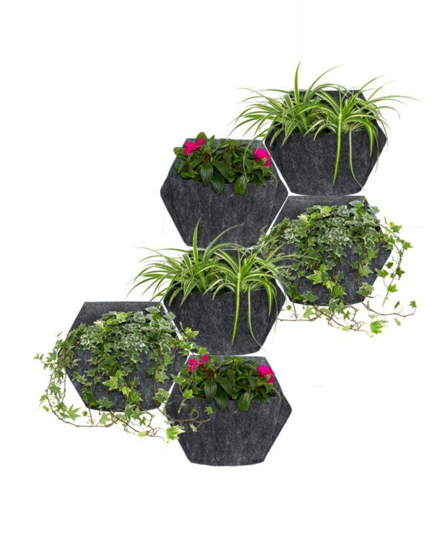 CitySens 6er-Pack Wand-Blumentopf mit Textilbezug und automatische Bewässerung – Ansicht 3